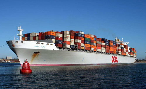 迪拜专线物流海运运输流程,多仕迪提供清关门到门服务